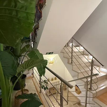 Casa Sol E Sal 3* Luz